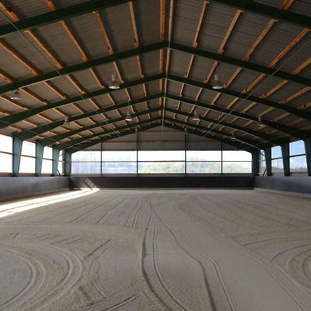 Ferien- Und Reiterparadies Vosshoernerhof Neuschoo Bagian luar foto