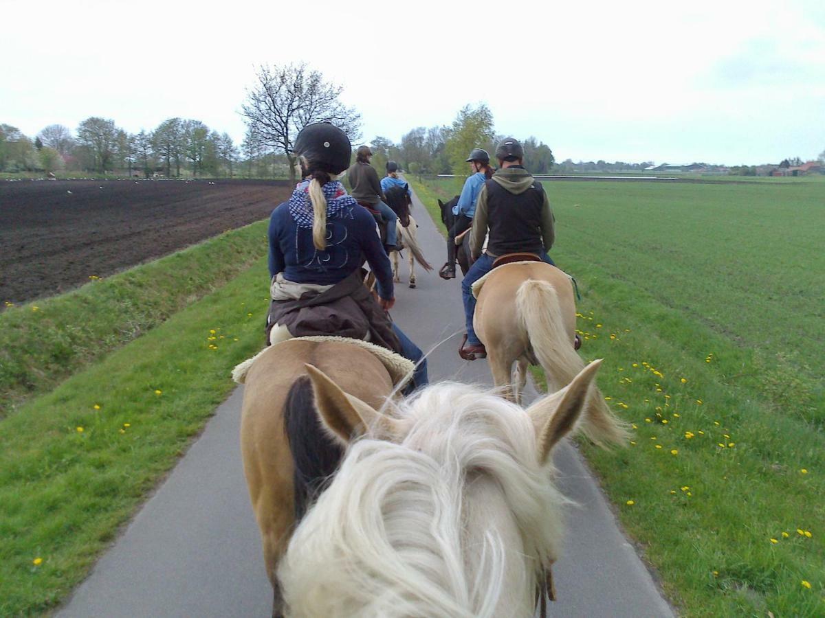 Ferien- Und Reiterparadies Vosshoernerhof Neuschoo Bagian luar foto